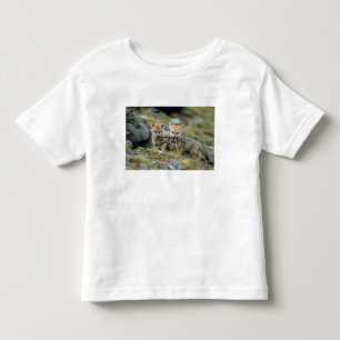Camiseta Infantil América do Sul, Chile, Torres del Paine Nacional