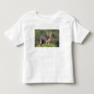 Camiseta Infantil América do Sul, Chile, Torres del Paine NP,