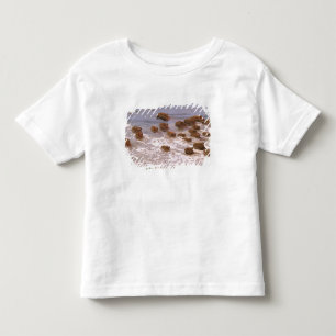 Camiseta Infantil América do Sul, Venezuela, região de Llano.