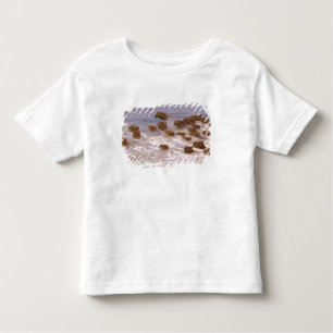 Camiseta Infantil América do Sul, Venezuela, região Lano.