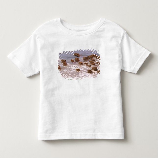 Camiseta Infantil América do Sul, Venezuela, região Lano. (Frente)