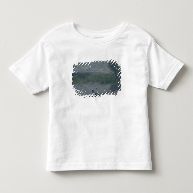 Camiseta Infantil Andorinhas (Frente)
