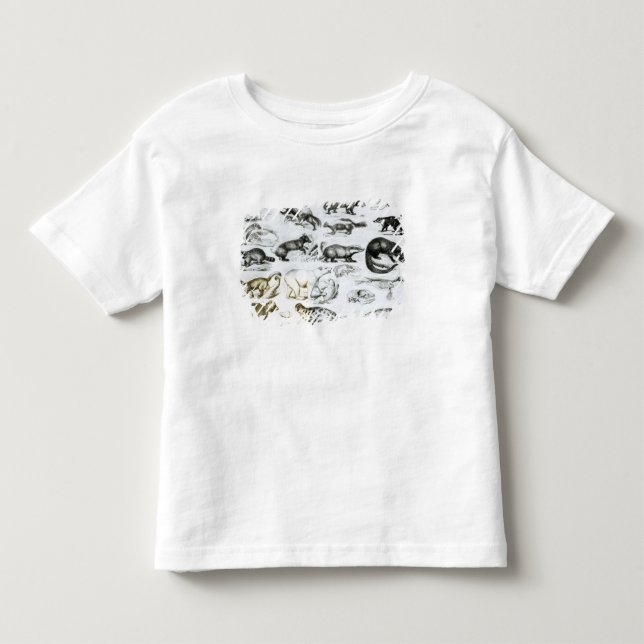 Camiseta Infantil Animais carnívoros (Frente)