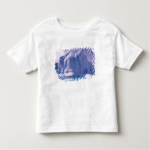 Camiseta Infantil Antártica. Fugas antárticas