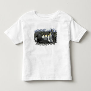 Camiseta Infantil Antártica, Ilha da Geórgia do Sul. Lobo-marinho-an