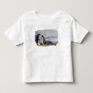 Camiseta Infantil Antártida, Ilha da Geórgia do Sul (Reino Unido), R