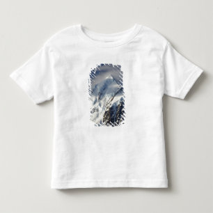 Camiseta Infantil Aoraki Monte Cook, Mackenzie Country, Sul