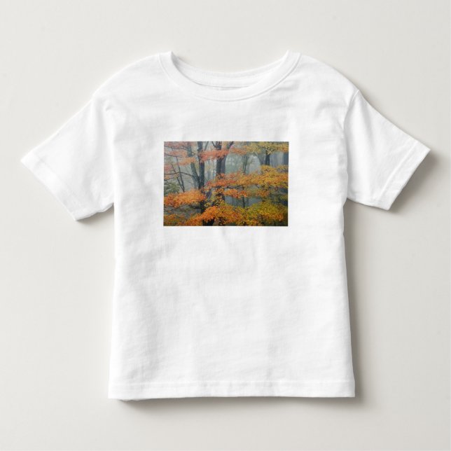 Camiseta Infantil Árvore de ácer, Acer rubrum, retrato em neblina (Frente)