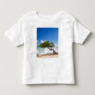Camiseta Infantil Árvore Divi Divi, Praia Eagle, Aruba, Caribe