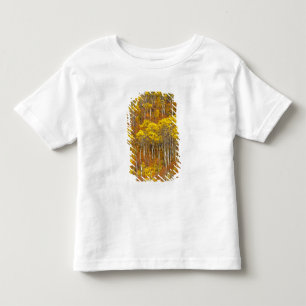 Camiseta Infantil Arvoredo de álamo tremedor em cores de outono inte
