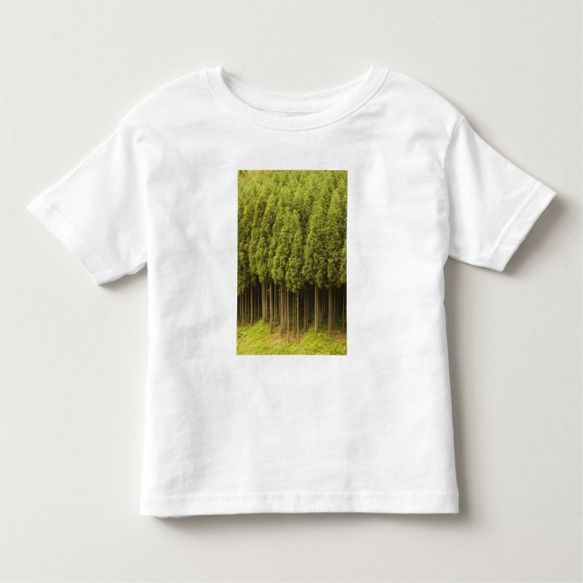 Camiseta Infantil Árvores de cedro de Koya Sugi (Frente)