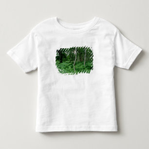 Camiseta Infantil Árvores de vidoeiro de prata e samambaias,