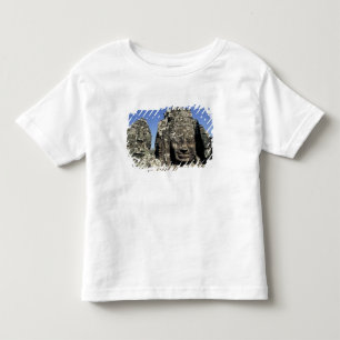 Camiseta Infantil Ásia, Camboja, Siem Reap, Angkor Thom (século XII