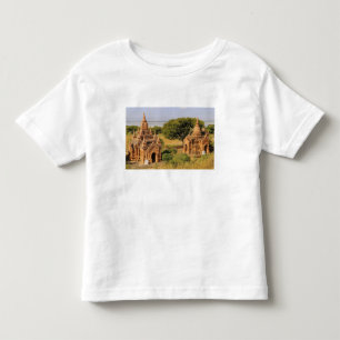 Camiseta Infantil Ásia, Myanmar (Birmânia), Bagan (Pagan). Vários 2