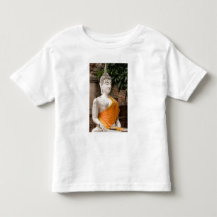 Camiseta Infantil Ásia, Tailândia, Sião, Buda em Ayutthaya