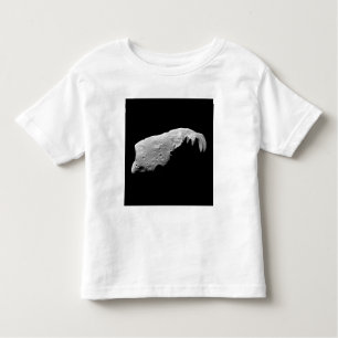 Camiseta Infantil Asteroide 243 Ida