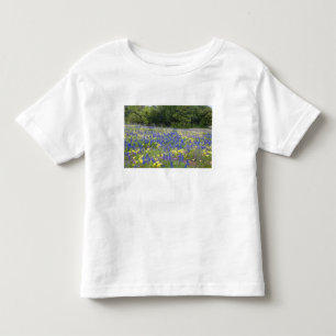 Camiseta Infantil Azulbonetes, prímula e flox