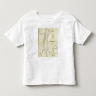 Camiseta Infantil Baía de Humboldt, Calif
