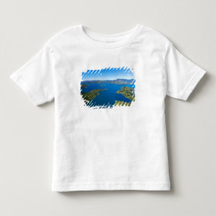 Camiseta Infantil Baía Torea, Queen Charlotte Sound, Marlborough