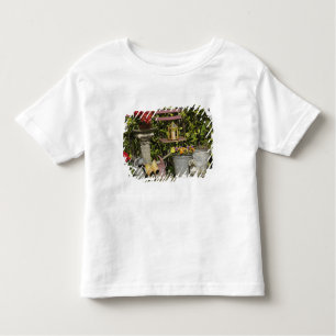 Camiseta Infantil Baldes, calçados e flores, Zaanse Schans,