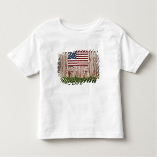 Camiseta Infantil Bandeira americana pintada no celeiro