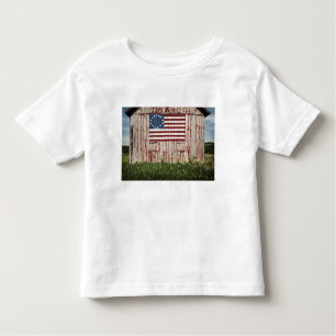 Camiseta Infantil Bandeira americana pintada no celeiro