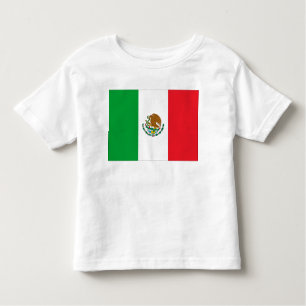 Camiseta Infantil Bandeira do México, Bandeiras do México