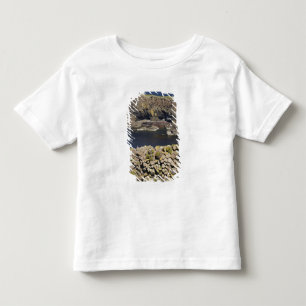 Camiseta Infantil basalto poligonal, Staffa, ao largo da Ilha de Mul
