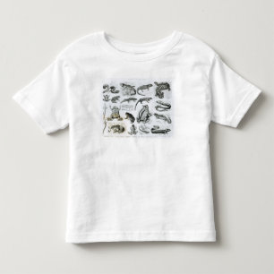 Camiseta Infantil Batráquios e outros anfíbios