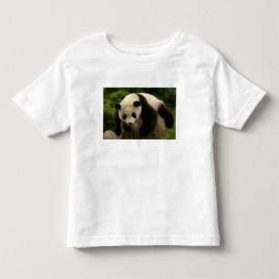 Camiseta Infantil Bebê de panda gigante (Ailuropoda melanoleuca)