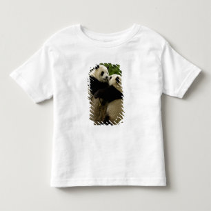 Camiseta Infantil bebês de panda gigante (Ailuropoda melanoleuca)