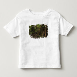 Camiseta Infantil Belas Raízes. Floresta tropical, Mapari Rupununi,