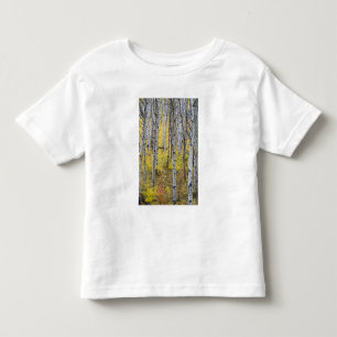 Camiseta Infantil Bosque de álamos em cores de outono intensas em Gl