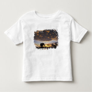 Camiseta Infantil Botsuana, Parque Nacional de Chobe, Elefante