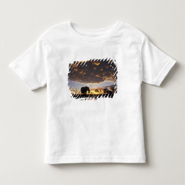 Camiseta Infantil Botsuana, Parque Nacional de Chobe, Elefante (Frente)