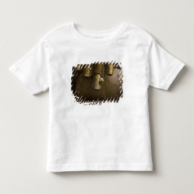 Camiseta Infantil Buda em Wat Si Chum. (Frente)