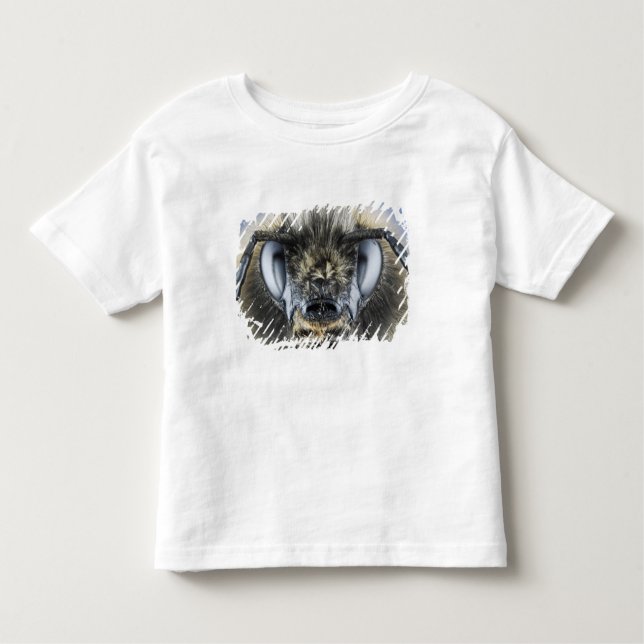 Camiseta Infantil Cabeça do zangão (Frente)