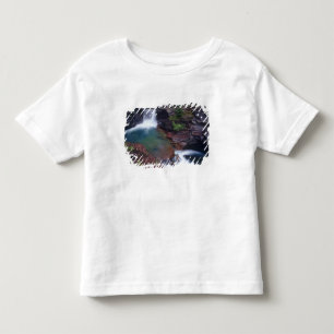 Camiseta Infantil Cachoeira St Mary no Parque Nacional Glacier em