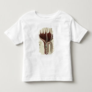 Camiseta Infantil Calamar, Pl.2 'de Histoire Naturelle