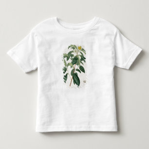 Camiseta Infantil Camélia Thea de "Phytographie Medicale" por Jose
