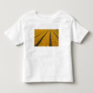 Camiseta Infantil Campo de tulipas, Holanda
