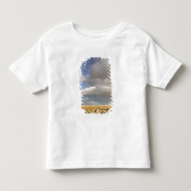Camiseta Infantil Canadá, Alberta, Stand Off: Paisagem com (Frente)