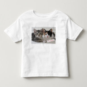 Camiseta Infantil Caneca dos gatinhos dos melhores amigos