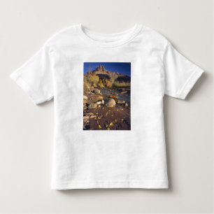 Camiseta Infantil CAPITOL REEF NATIONAL PARK, UT, EUA, Cottonwood