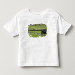 Camiseta Infantil Carrinho de Amish na pista da fazenda, Ohio do