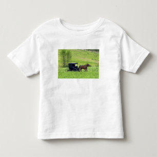 Camiseta Infantil Carroça e cavalo Amish perto de Berlim, Ohio.