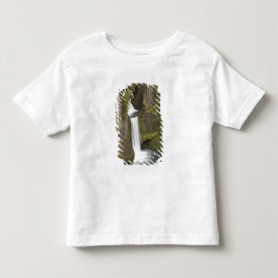 Camiseta Infantil Cataratas Toketee no condado de Douglas, Oregon