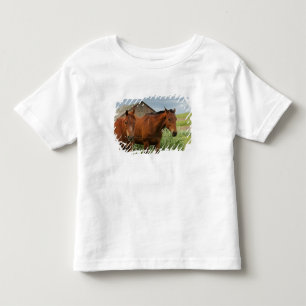 Camiseta Infantil Cavalos vendo em um campo no Palouse 3