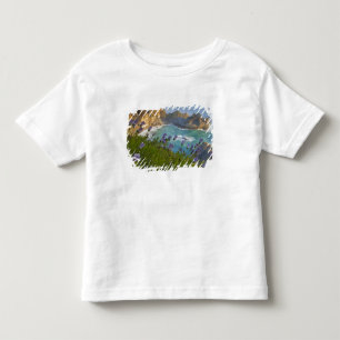 Camiseta Infantil Cenário McWay Falls desaba na praia e