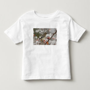 Camiseta Infantil Cera-da-américa adulto em pilriteiro com neve